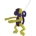 Walking Pet Monkey on a Leash